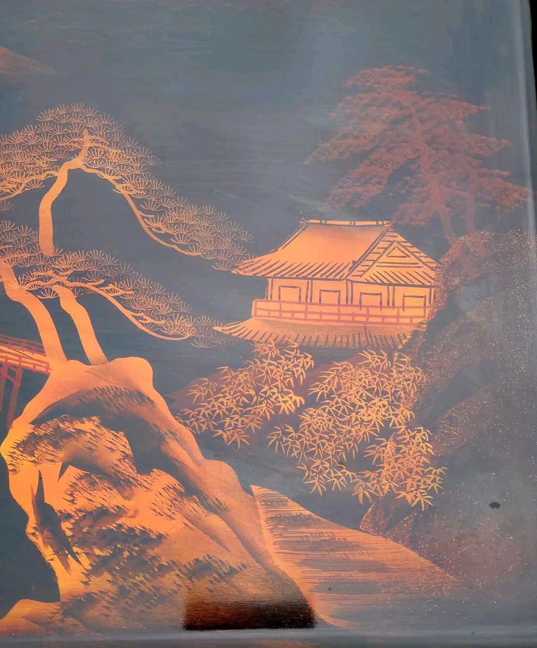 Tavă Japoneză