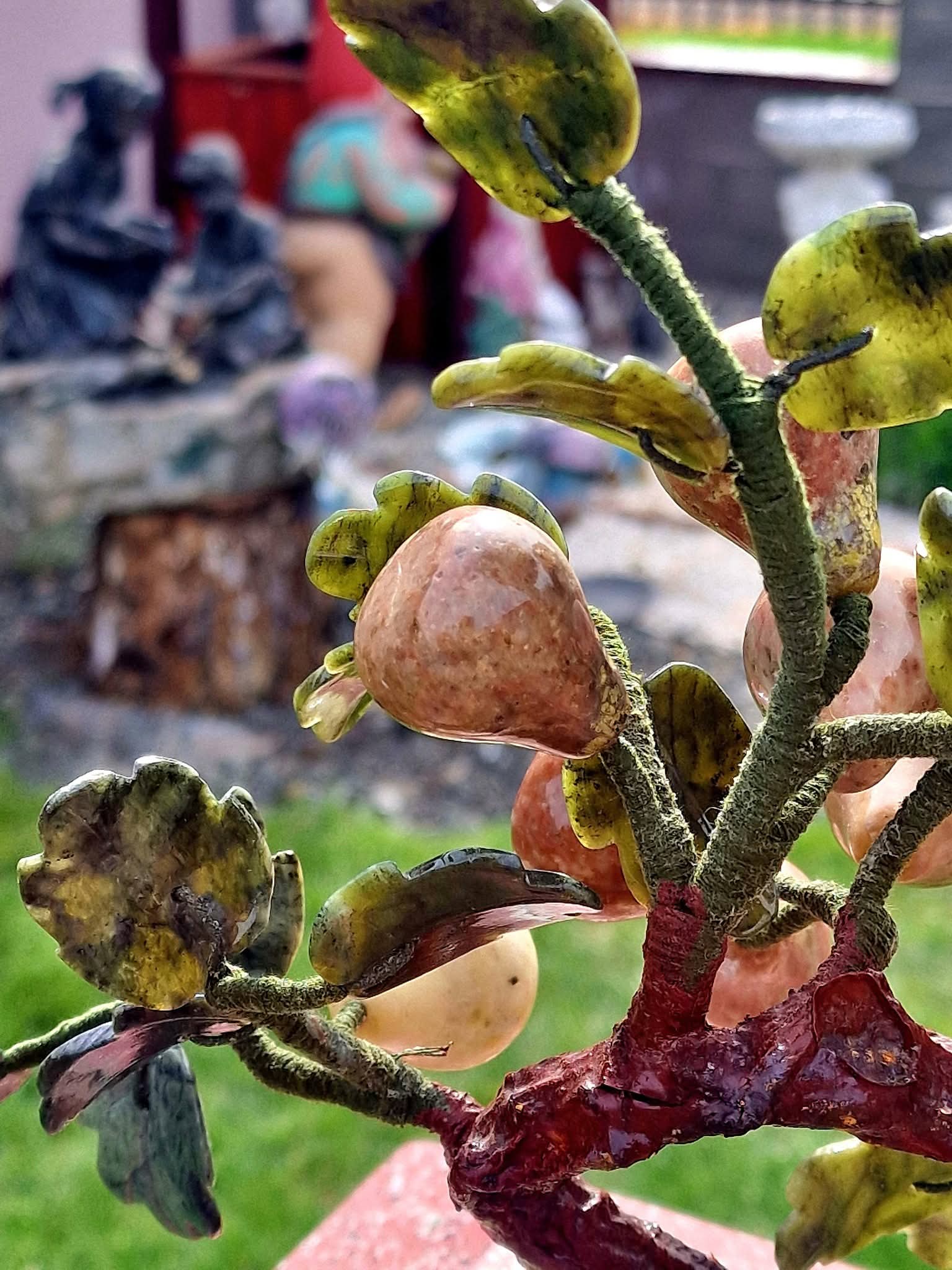 Bonsai Pere