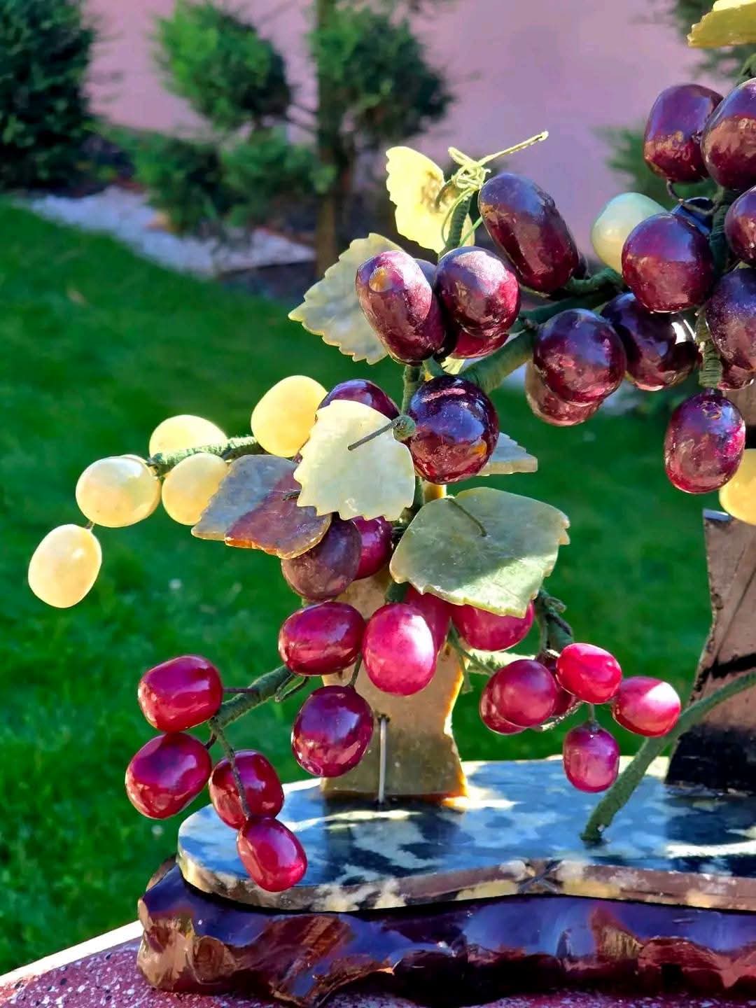 Bonsai Viță de Vie