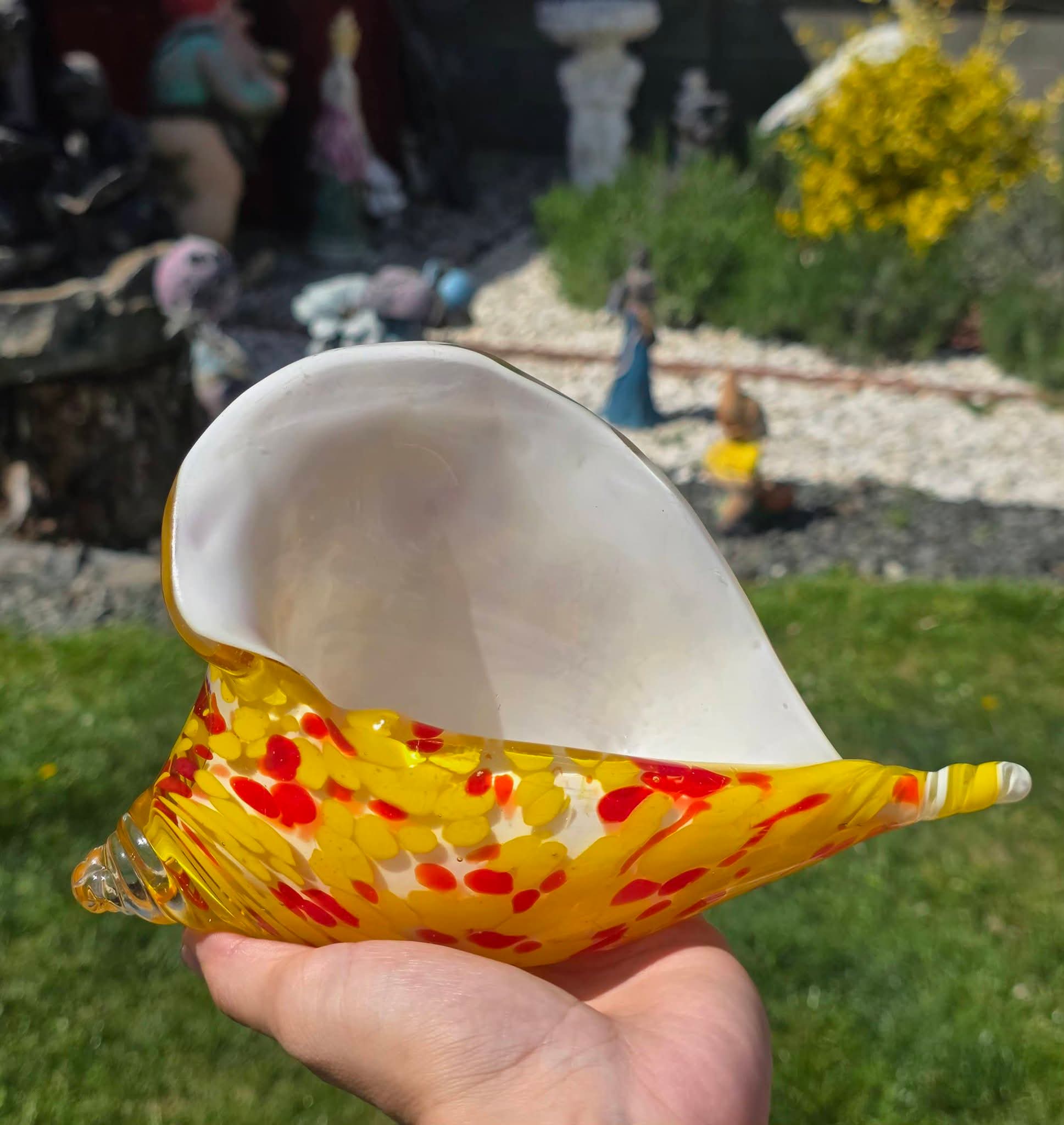 Scoică Murano