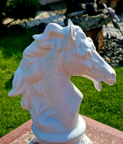 Bust cal