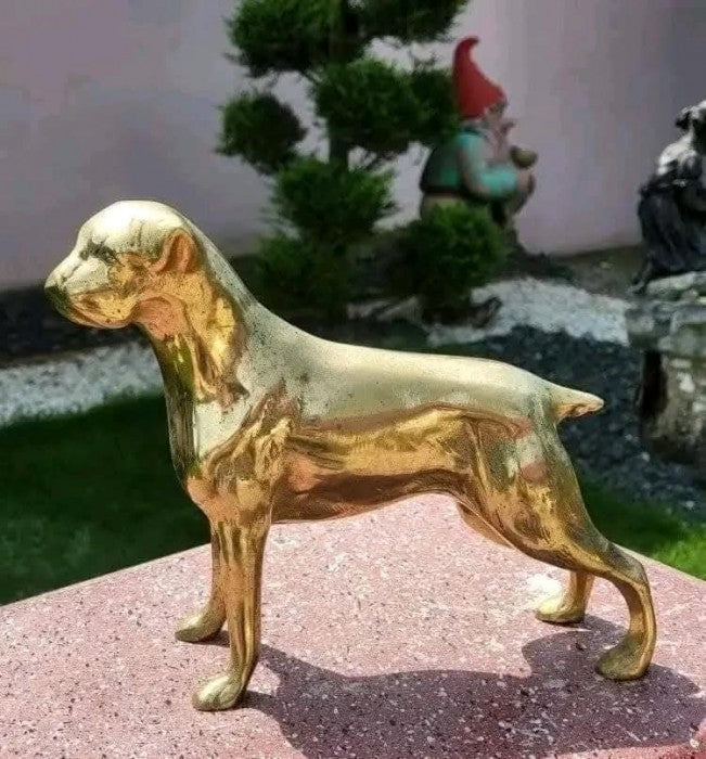 Figurina " Caine Boxer "
