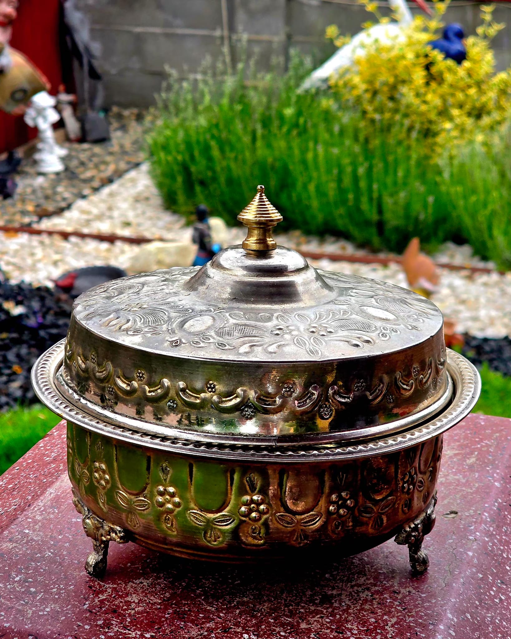 Vas Marocan