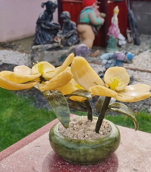 Bonsai Jad Orhidee