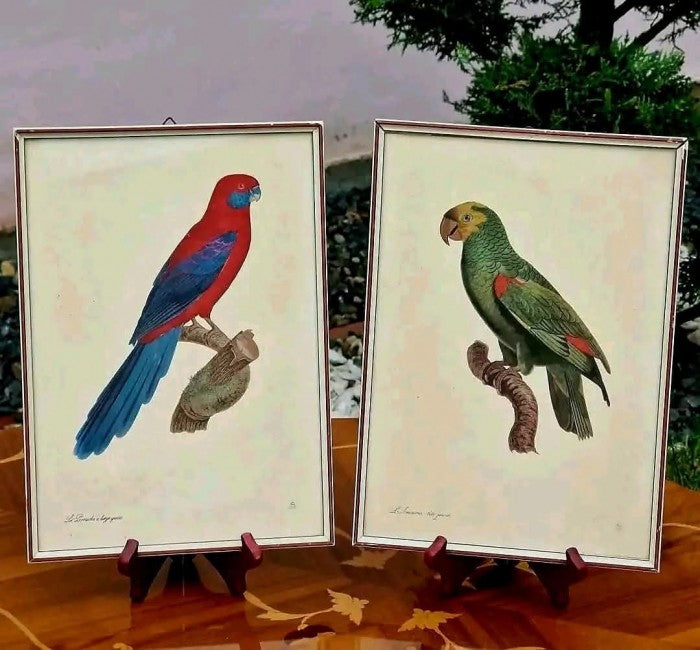 Pereche Tablouri  Gravate