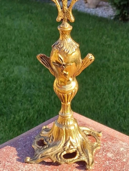 Sfesnic Rococo