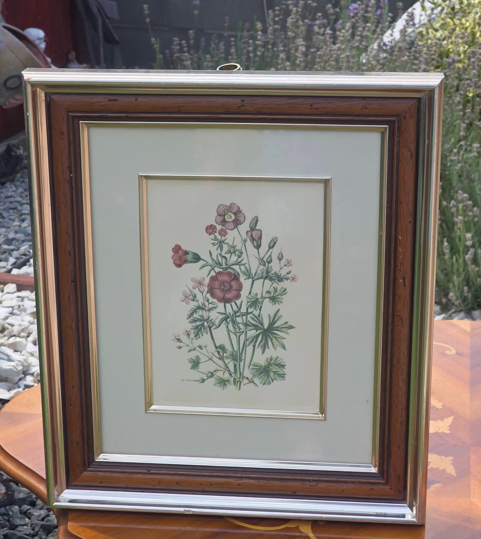 Tablouri Botanice