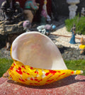 Scoică Murano