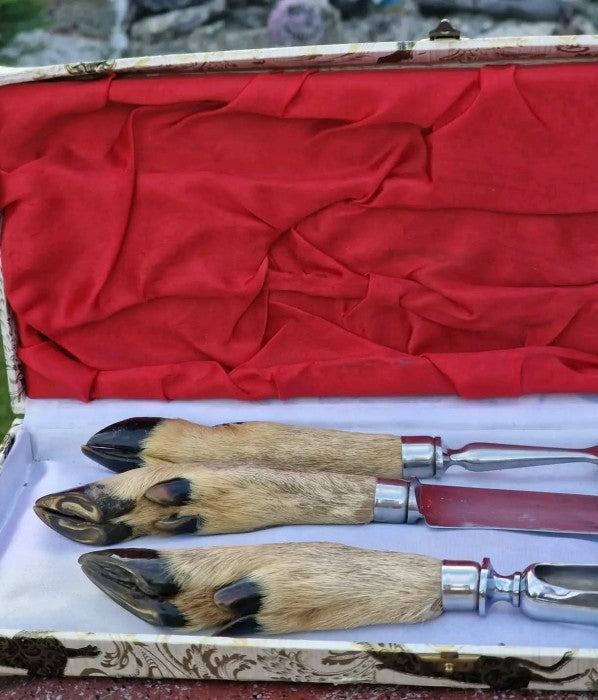 Set Tacâmuri