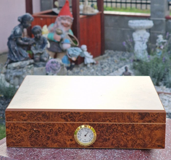 Humidor Trabucuri