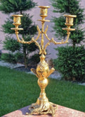 Sfesnic Rococo