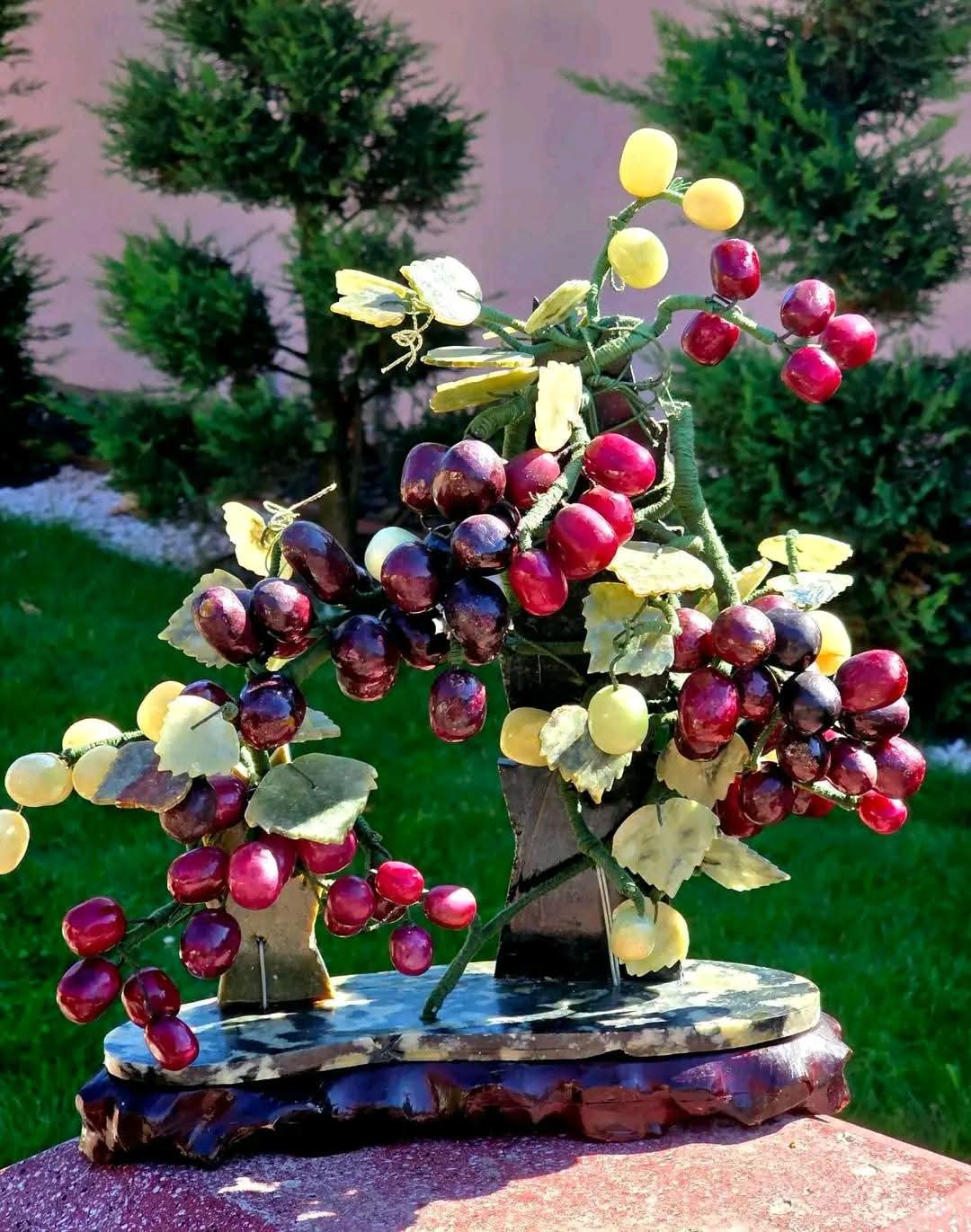 Bonsai Viță de Vie