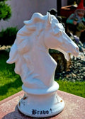 Bust cal