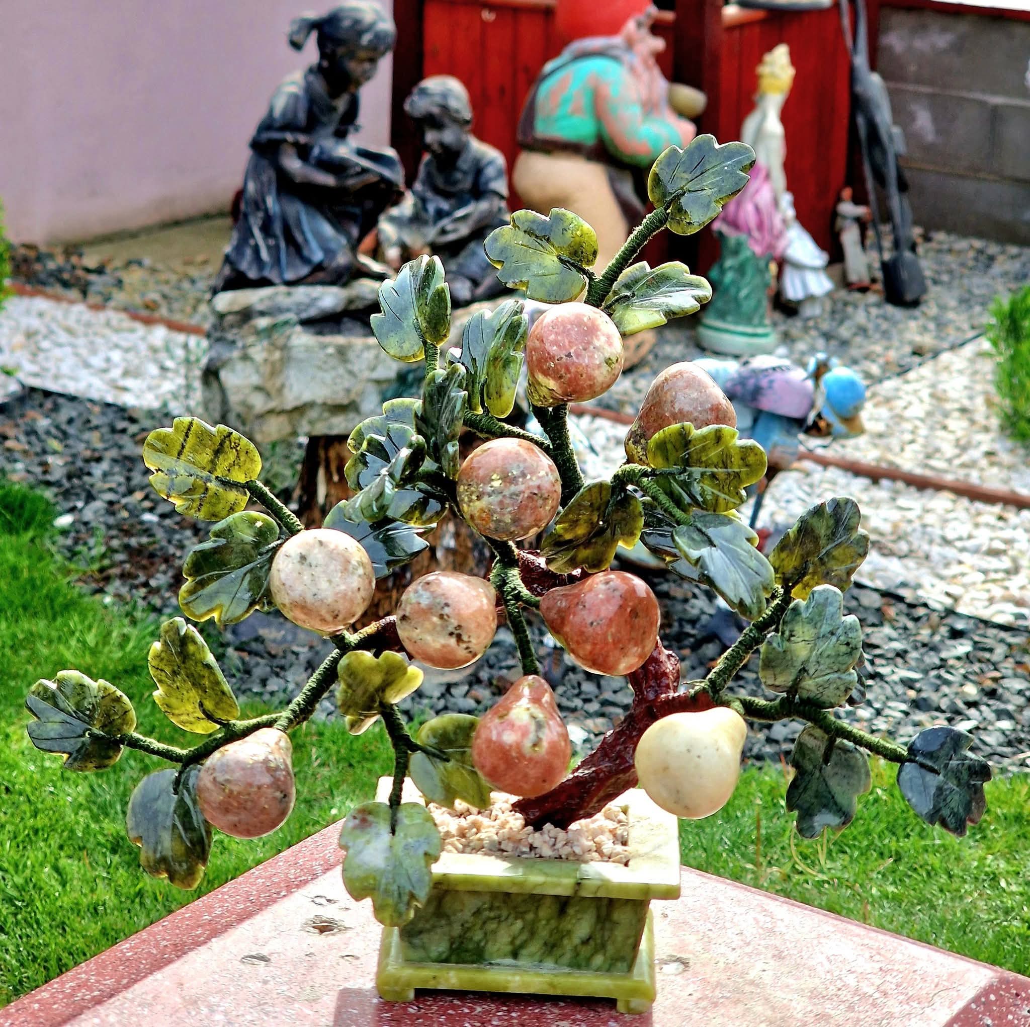 Bonsai Pere