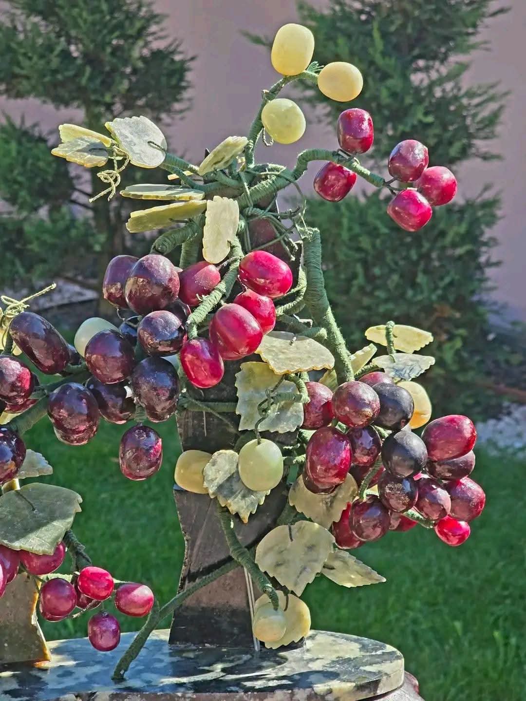 Bonsai Viță de Vie