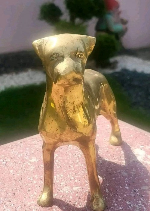 Figurina " Caine Boxer "