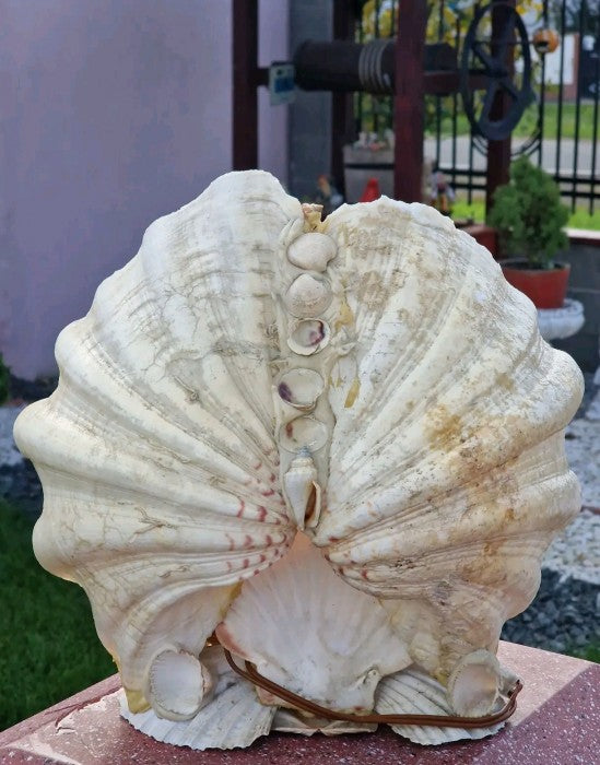 Lampă Statuetă