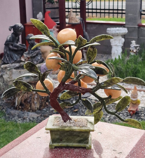Bonsai Portocale