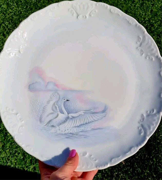 Set Farfurii Limoges