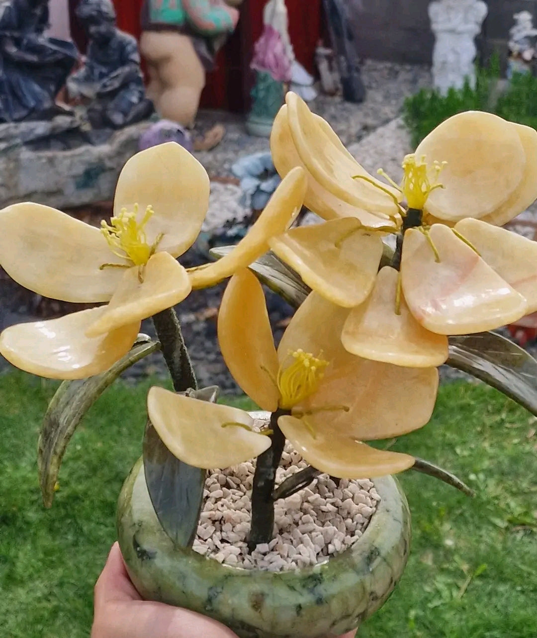 Bonsai Jad Orhidee