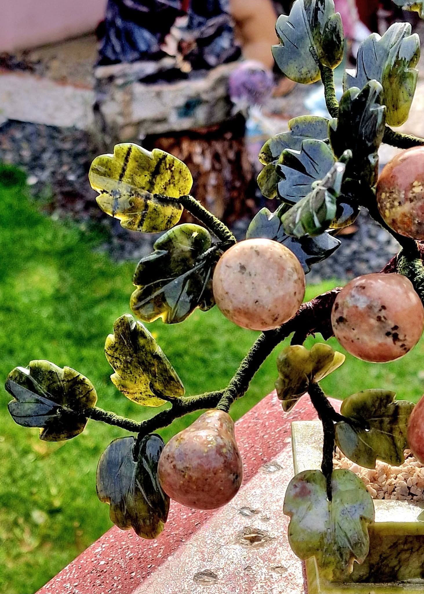 Bonsai Pere