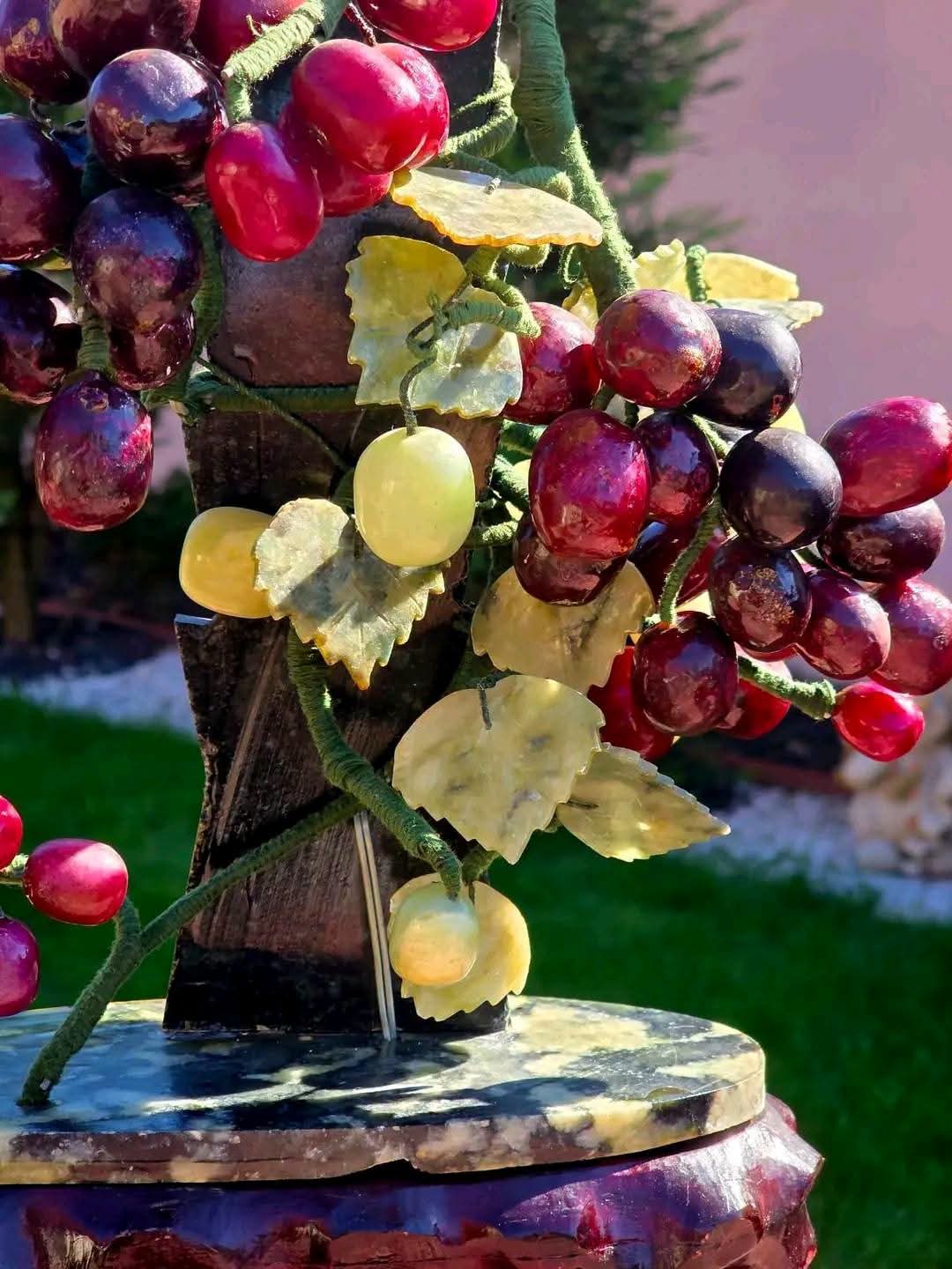 Bonsai Viță de Vie