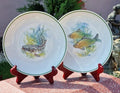 Set Farfurii Decorative