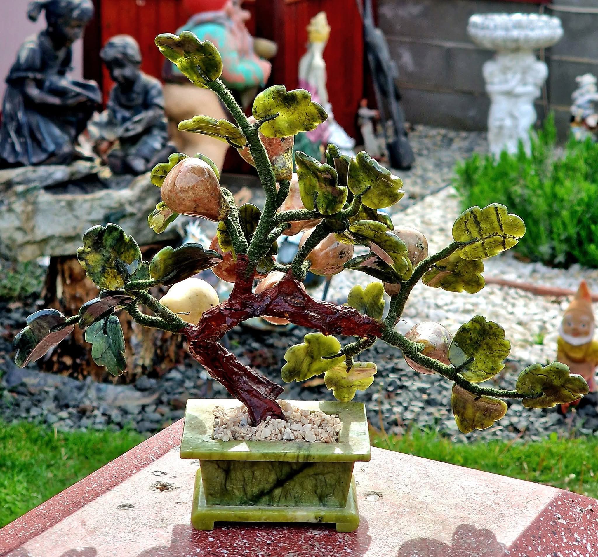 Bonsai Pere