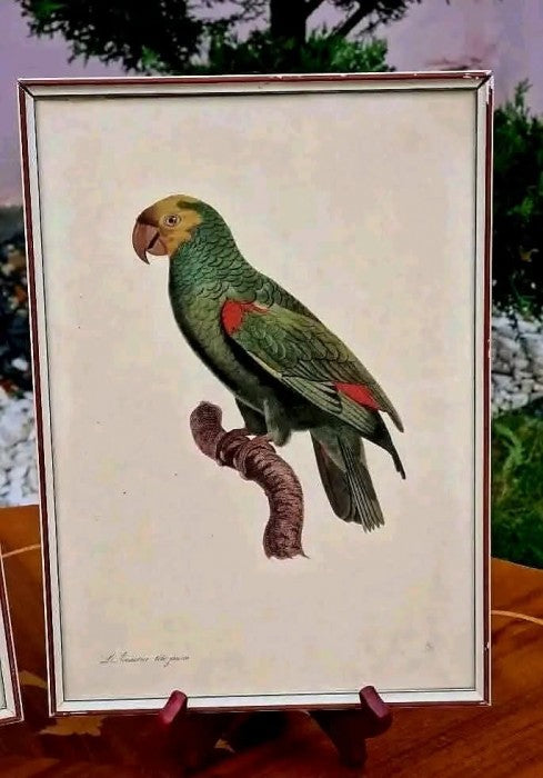 Pereche Tablouri  Gravate