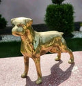 Figurina " Caine Boxer "