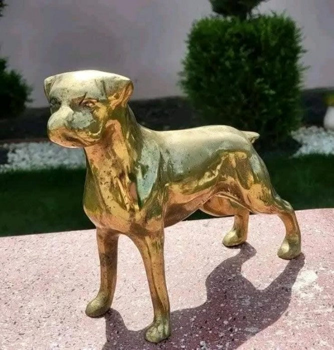 Figurina " Caine Boxer "