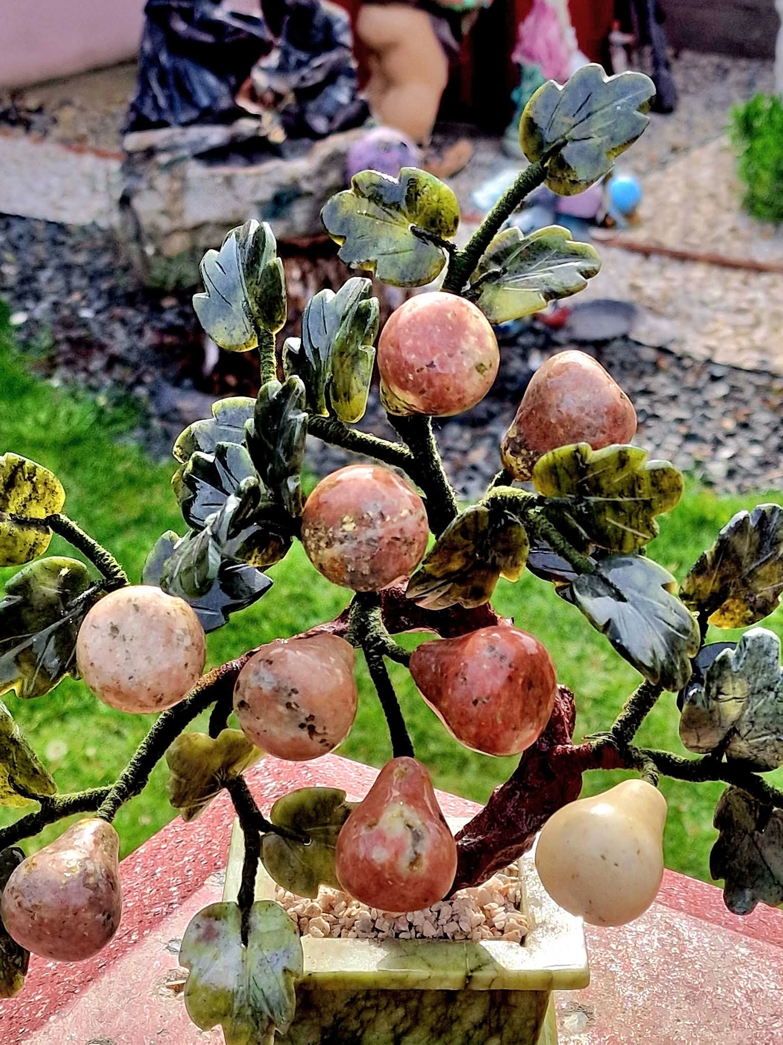 Bonsai Pere