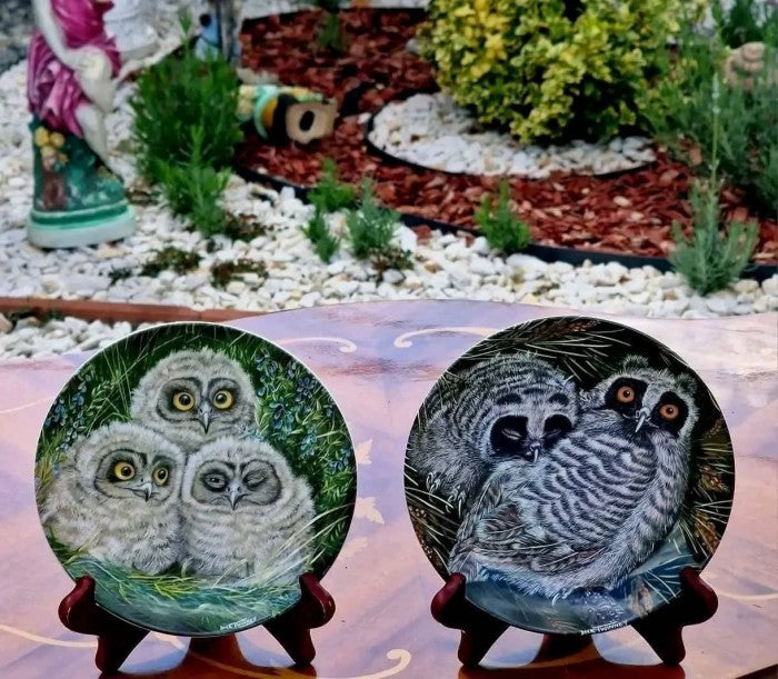 Set Farfurii decorative