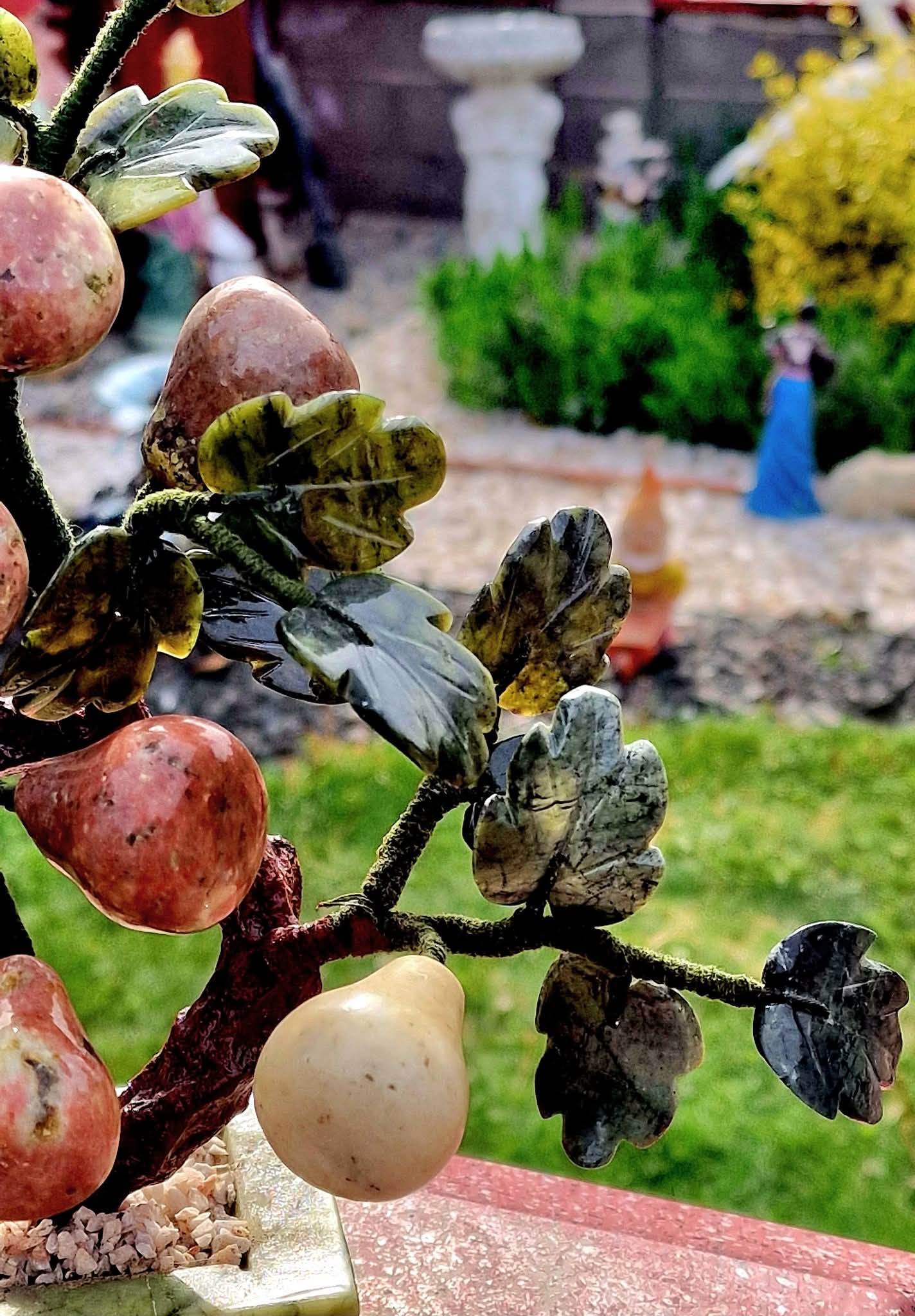 Bonsai Pere