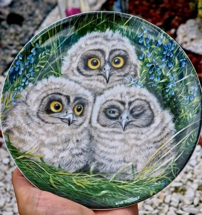 Set Farfurii decorative