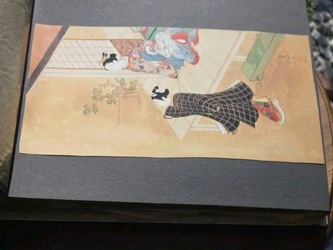 Album Foto Japonez