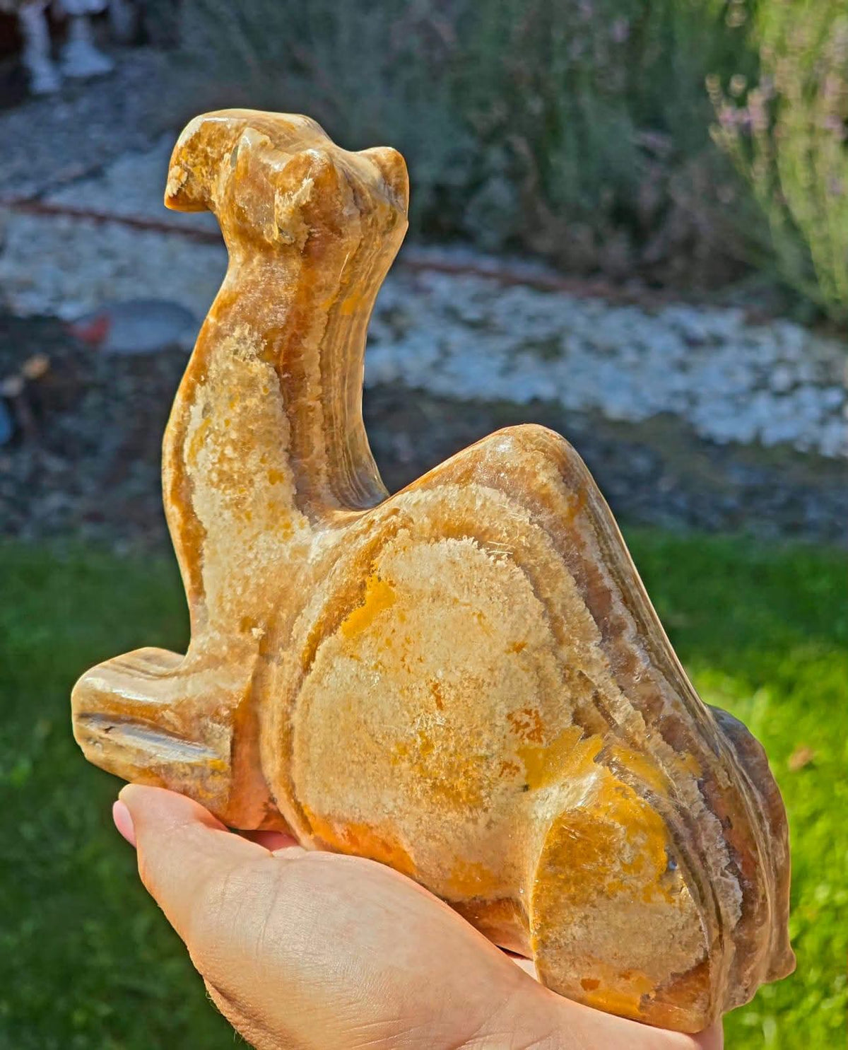 Decorațiune Cămilă