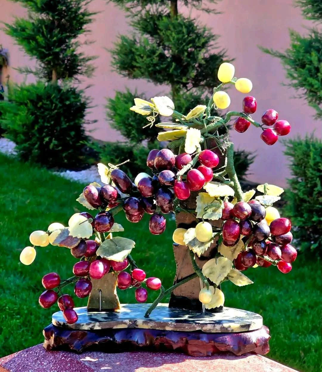 Bonsai Viță de Vie