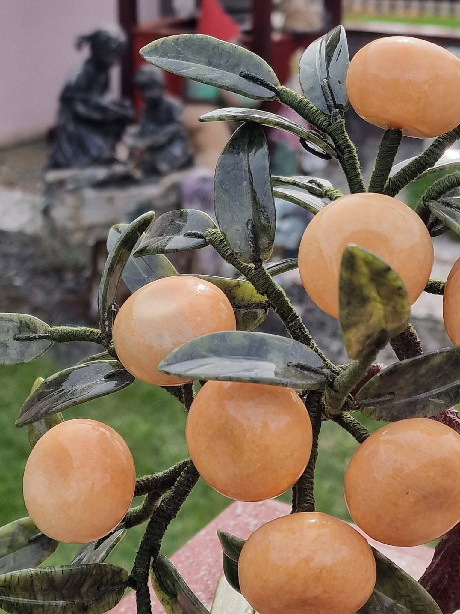 Bonsai Portocale