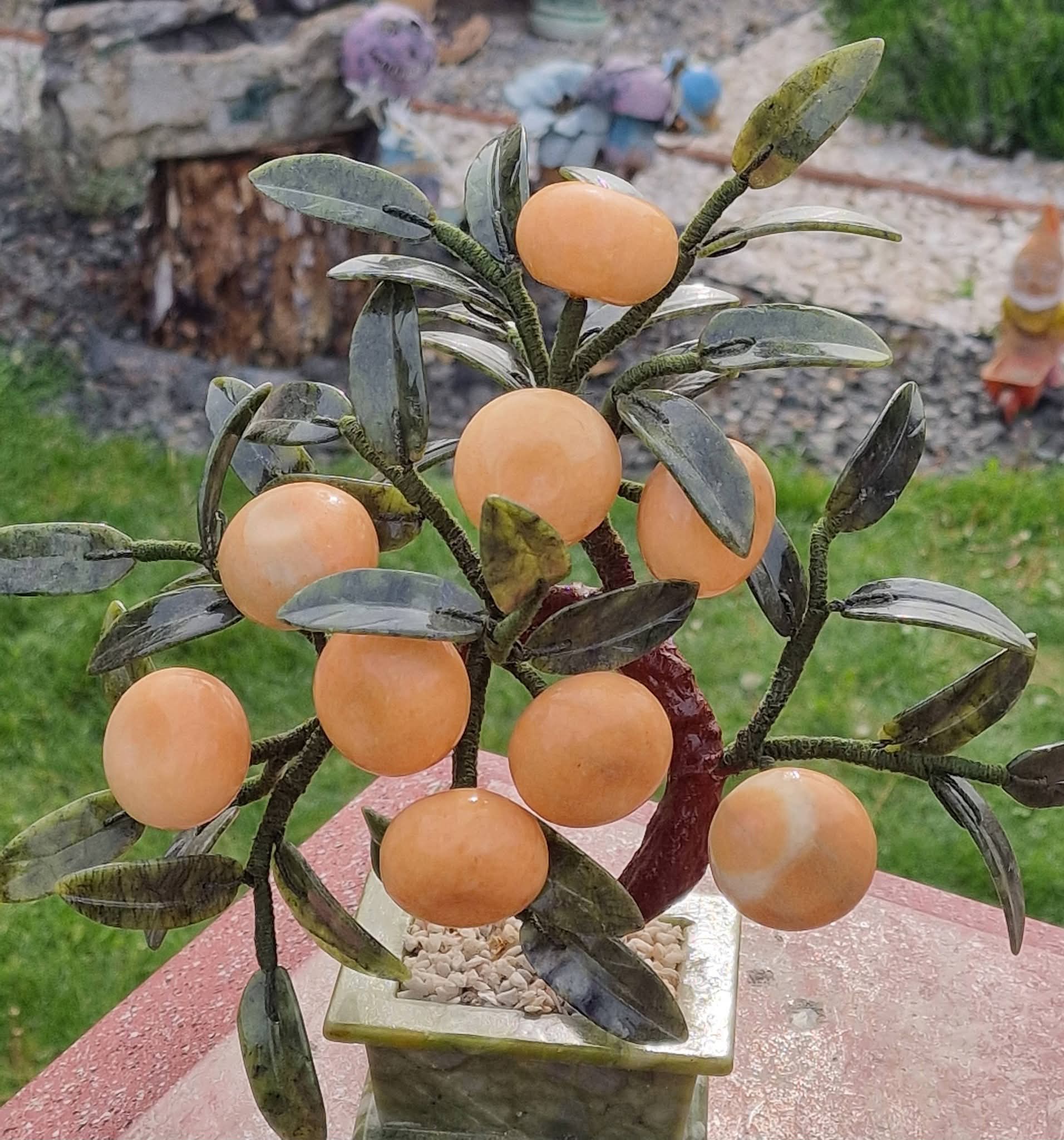 Bonsai Portocale